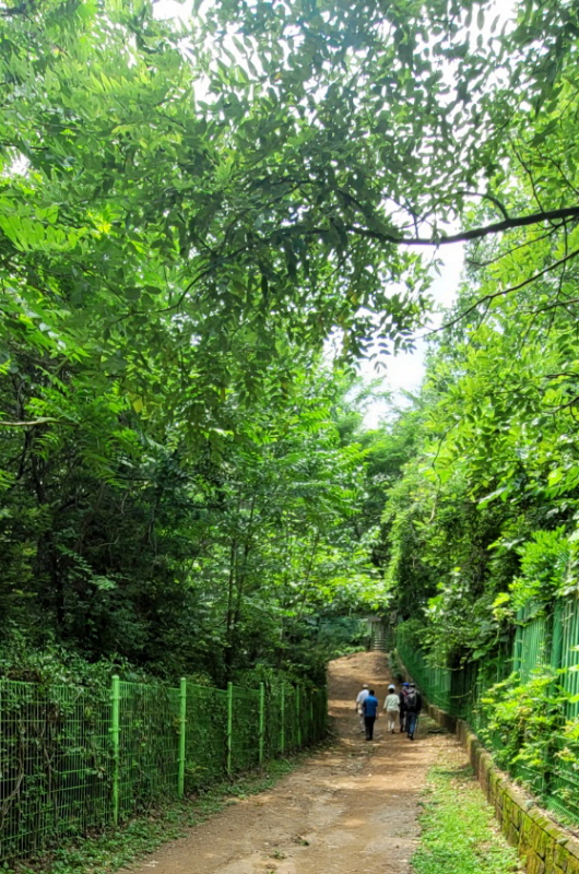 현충원(2022.07.04)-44.jpg