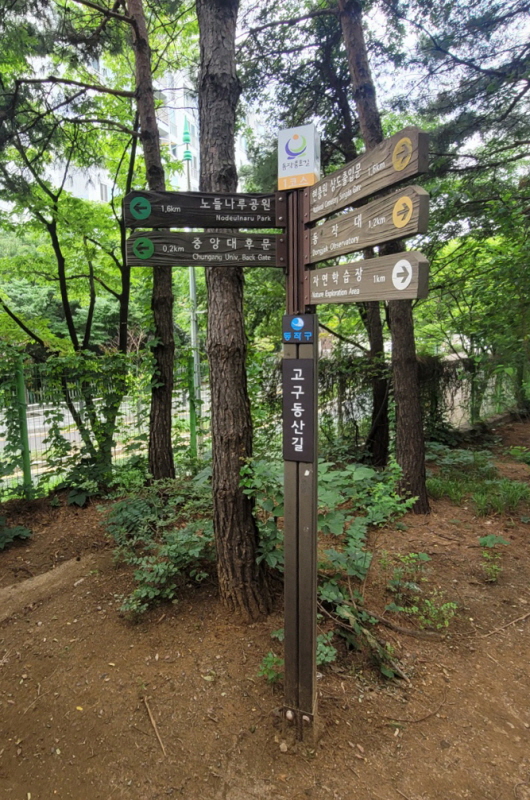 현충원(2022.07.04)-23.jpg
