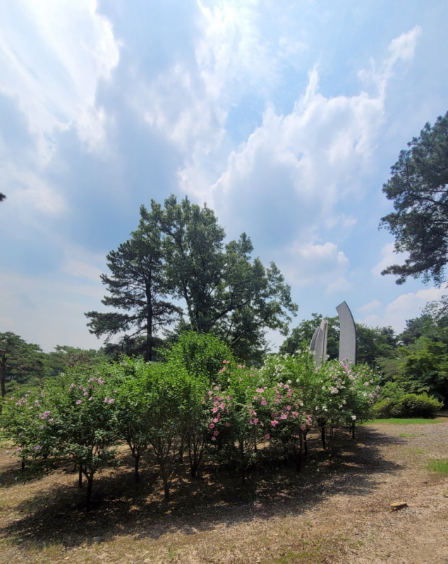 현충원(2022.07.04)-56.jpg