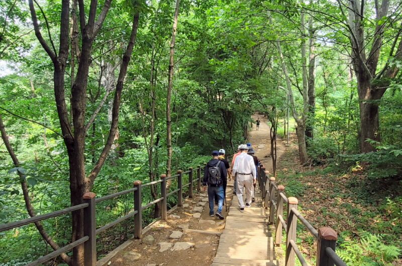 현충원(2022.07.04)-41.jpg
