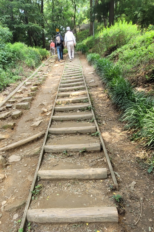 현충원(2022.07.04)-39.jpg