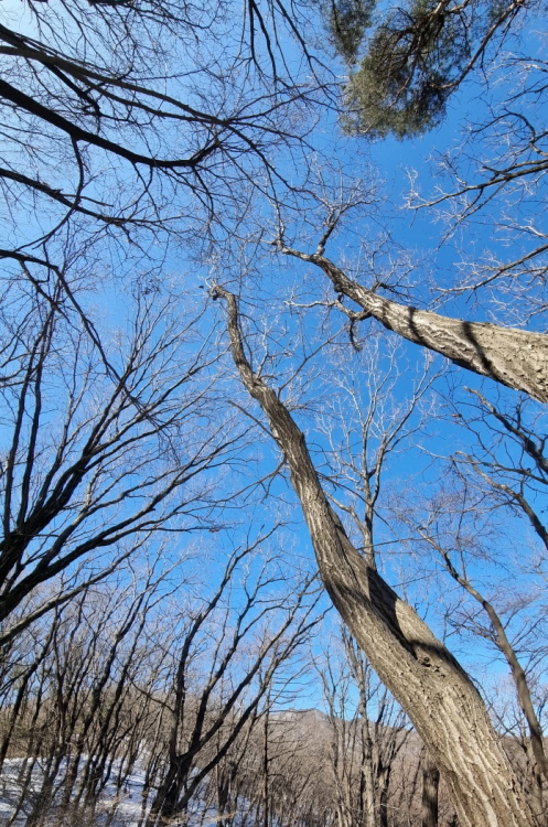 KakaoTalk_20250213_220157927.jpg