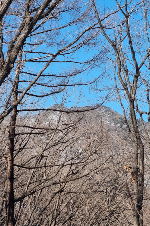 KakaoTalk_20250213_220213144.jpg