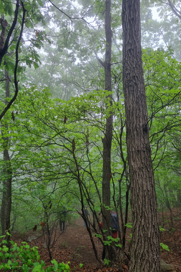 광목회(2025.05.15)-003.jpg