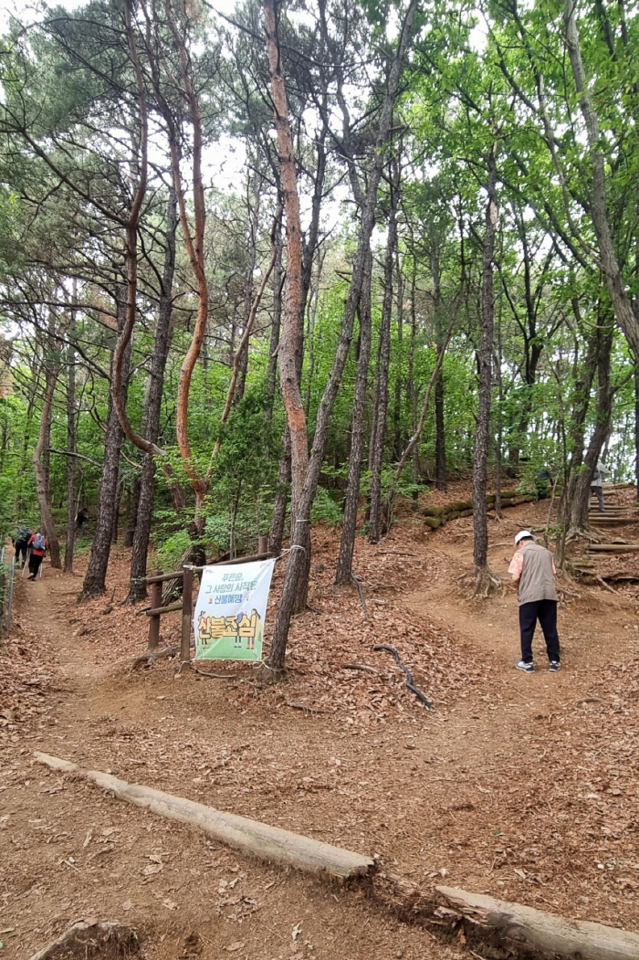 KakaoTalk_20250522_211846098.jpg