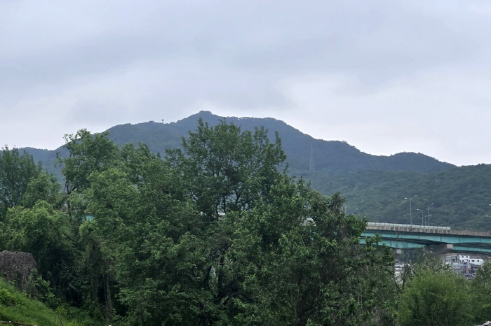 광목회(2025.05.22)-030.jpg