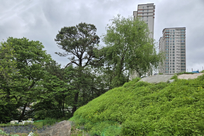 광목회(2025.05.22)-031.jpg