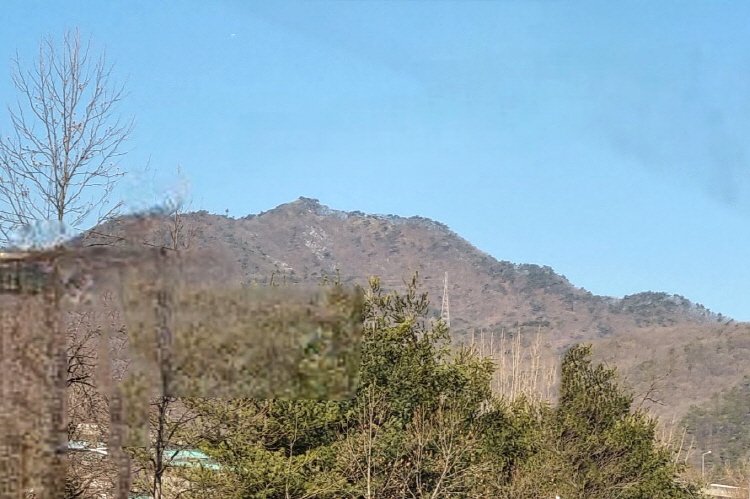 KakaoTalk_20250220_204452218.jpg