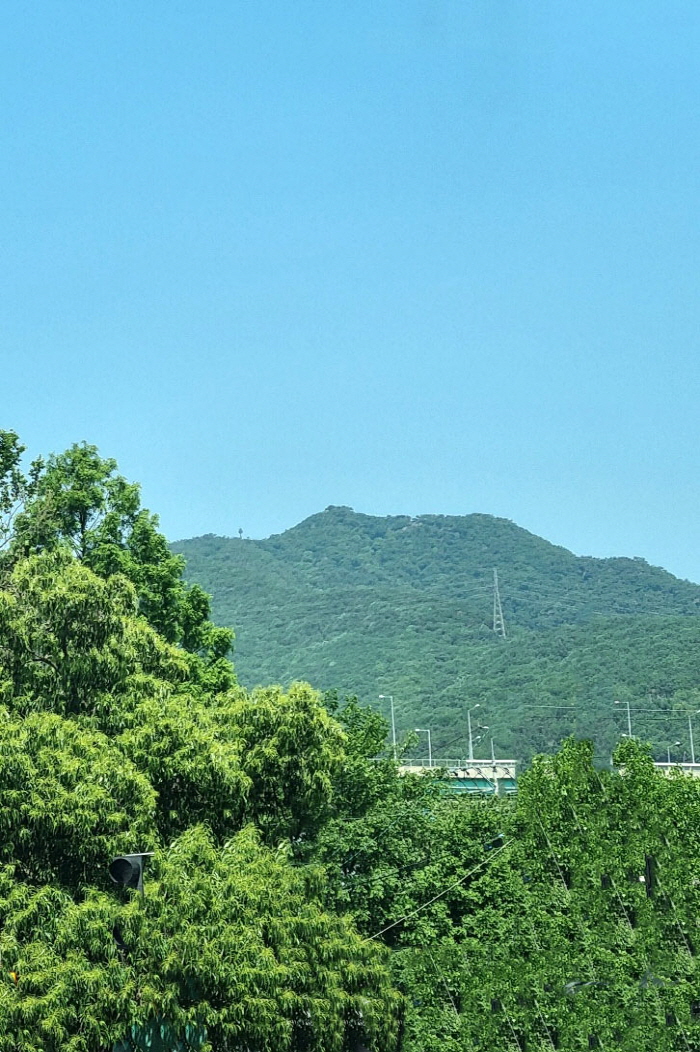 KakaoTalk_20250605_212947072.jpg