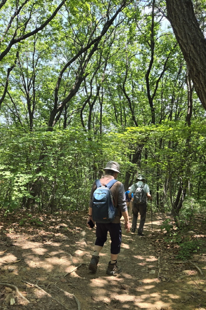 광목회(2025.06.12)-016.jpg