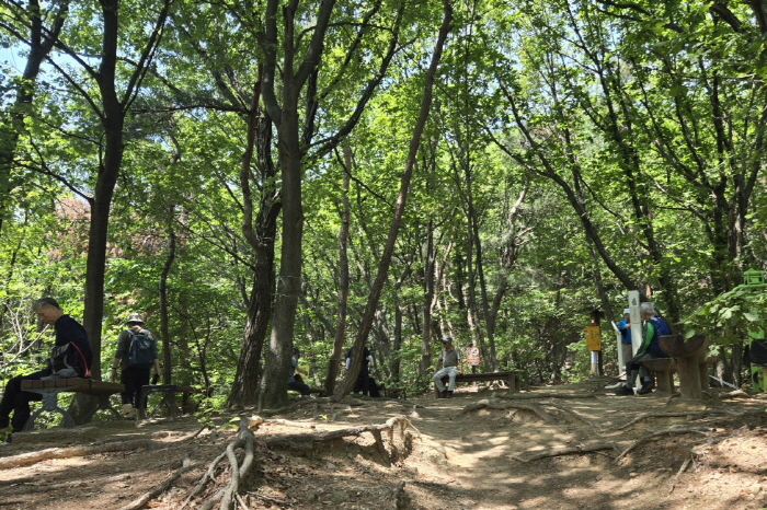 광목회(2025.06.12)-033.jpg