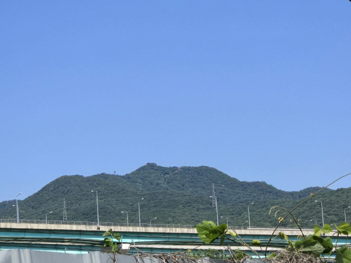 KakaoTalk_20250612_192435037_24.jpg