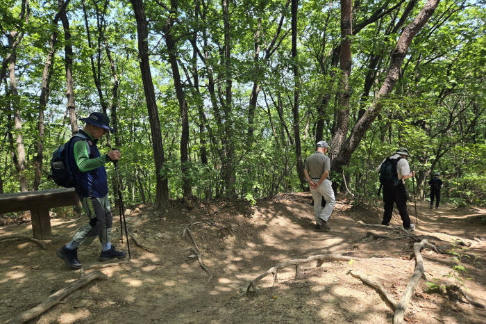 광목회(2025.06.12)-020.jpg