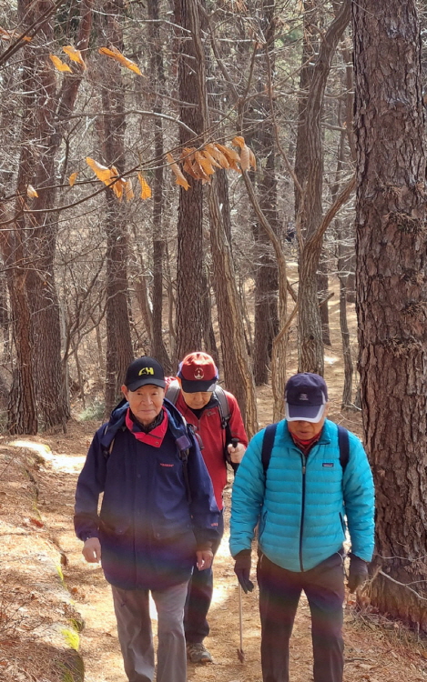 KakaoTalk_20250313_195640220.jpg