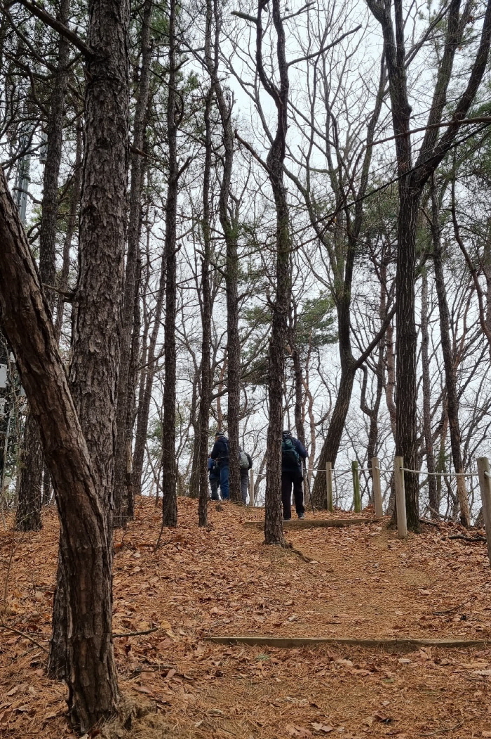 [크기변환]KakaoTalk_20250327_204958972.jpg