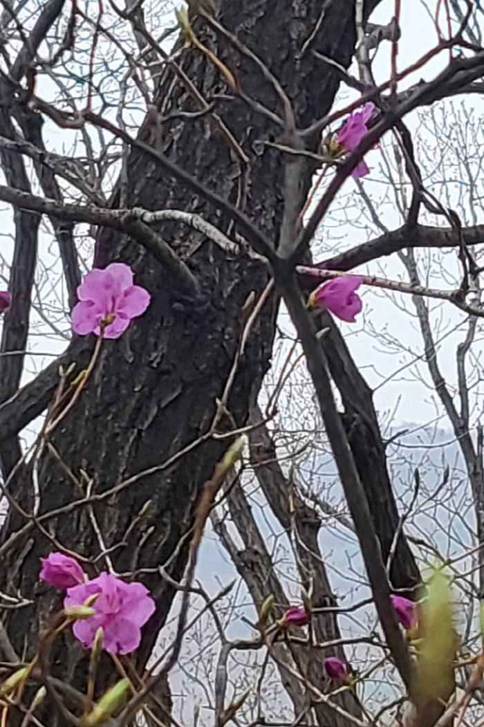 [크기변환]광콕회(2025.03.27)05.jpg