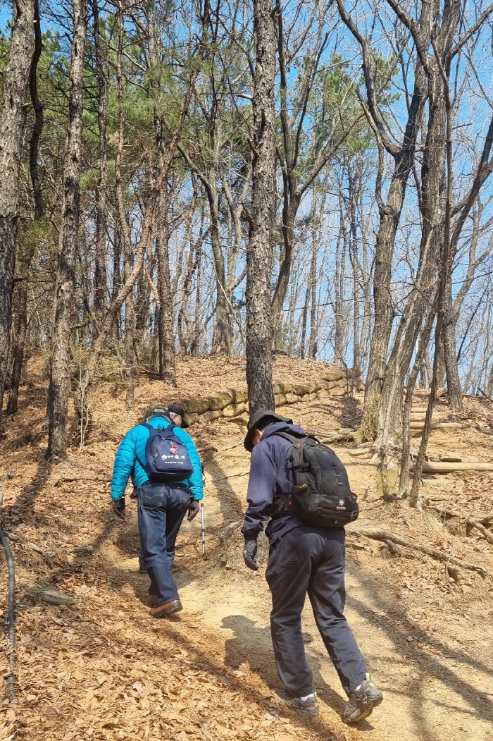 KakaoTalk_20250403_201313594.jpg