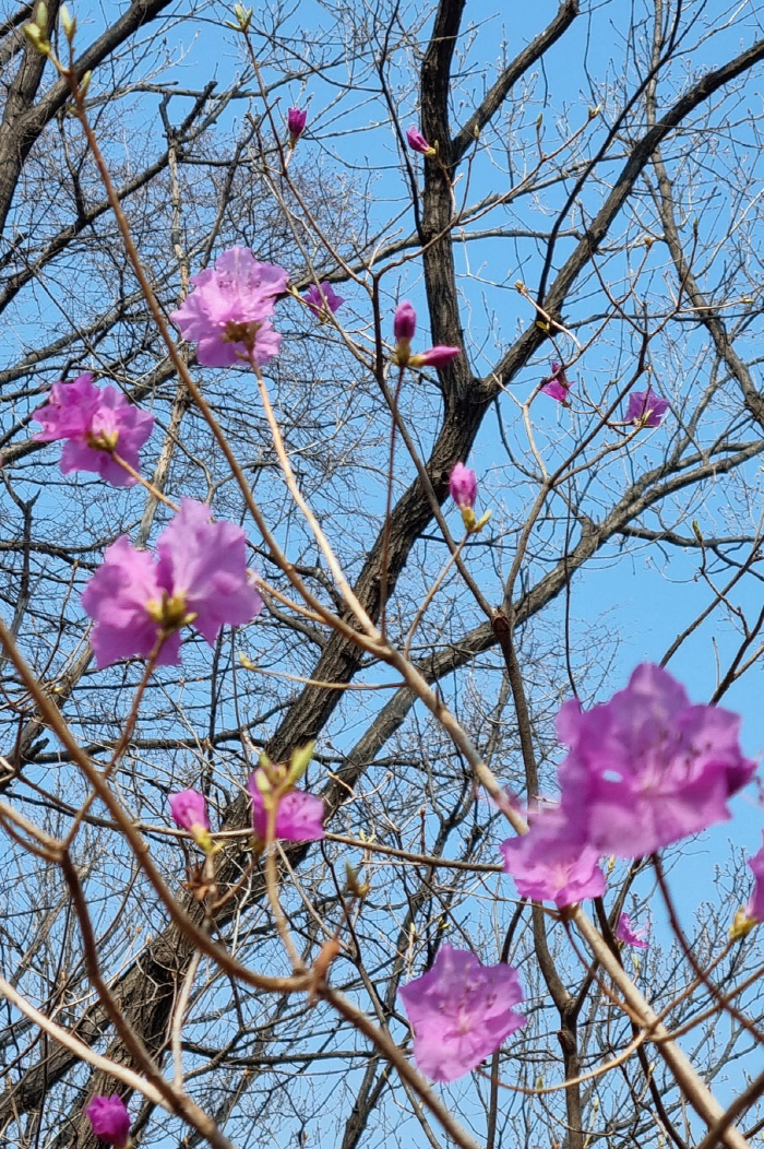 KakaoTalk_20250403_201525902.jpg