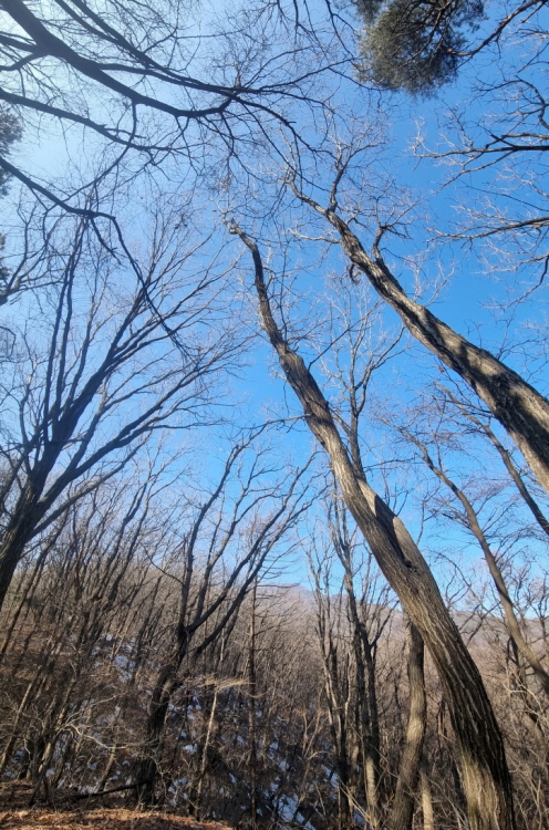 KakaoTalk_20250123_211357617.jpg