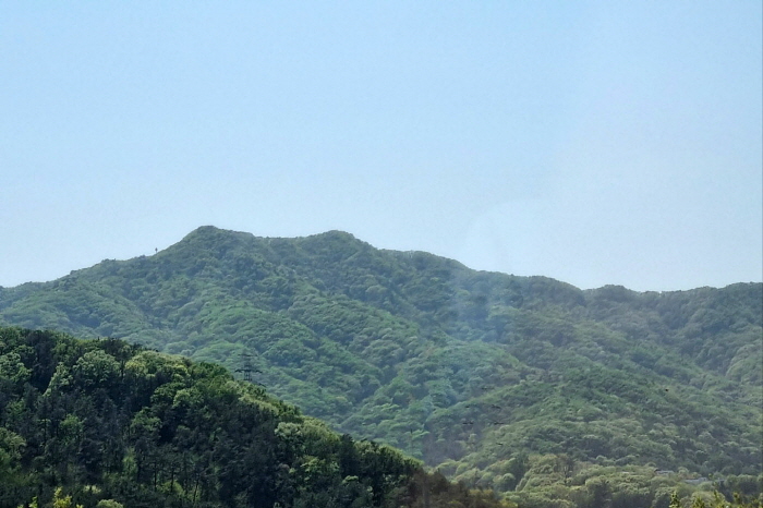 KakaoTalk_20250501_195126419.jpg